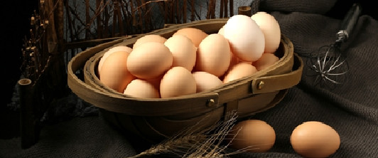 鸡蛋库存较高压制蛋价 期价宽幅震荡为主