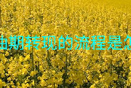 菜籽油期转现的流程是怎样的
