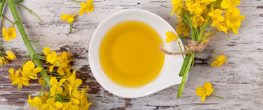 菜籽油供应结构性收紧 期价低位有所修复