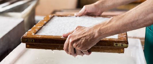 下游消费趋于平淡 双胶纸短期震荡为主