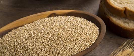 市场对于生物柴油政策的推动信心较强 豆粕偏强运行