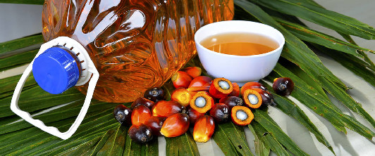 马棕油价格短线走高 印尼2025年毛棕榈油产量同比增长7.3%