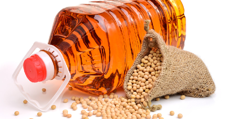 市场预期将增加植物油的需求 豆油延续偏强运行