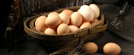 鸡蛋期货主力连续3周K线收阳 终端需求较为疲软