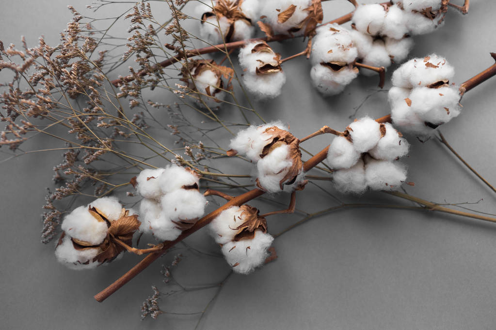 棉花主力日内一度涨超3% 后市盘面情况如何？