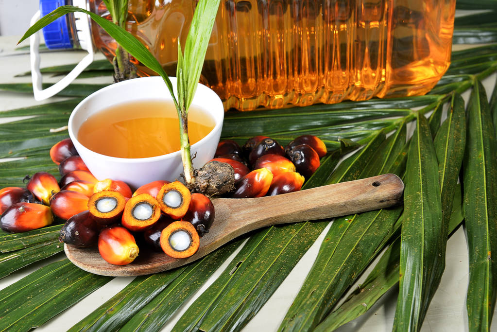 整体供需持续改善 棕榈油短期上方承压