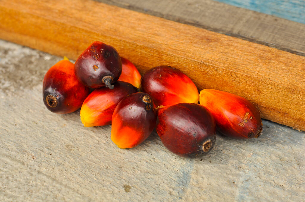 棕榈油产地减产持续 油脂整体强于春节前走势