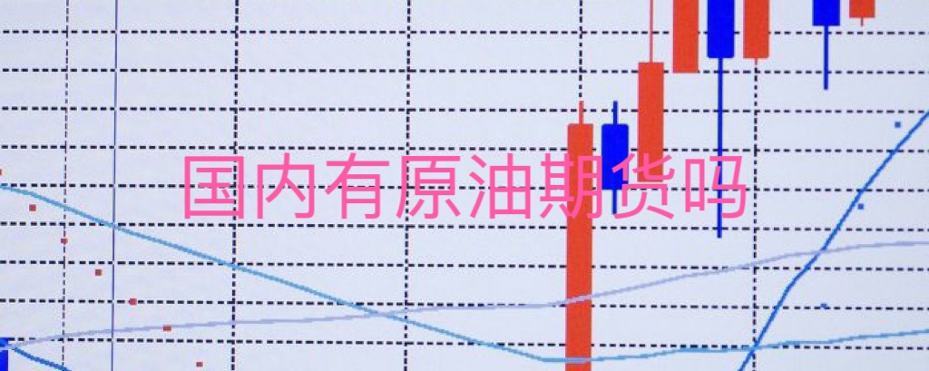 国内有原油期货吗