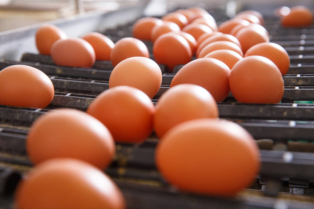 短期供给很难快速增加 鸡蛋价格震荡概率大