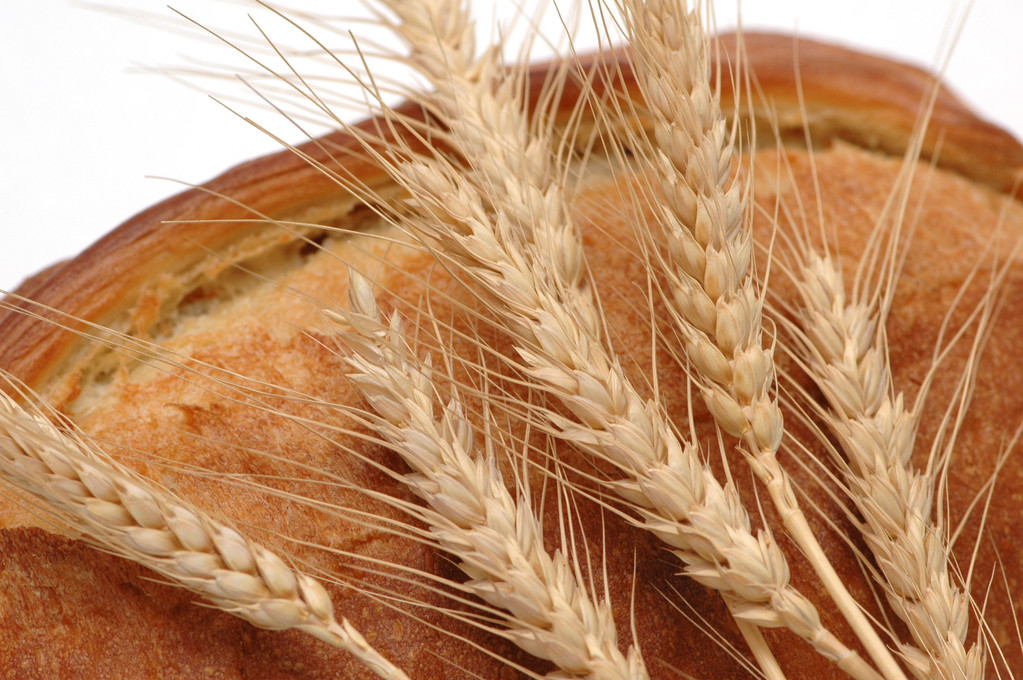 欧盟产量与出口量预估下调 CBOT小麦高位震荡
