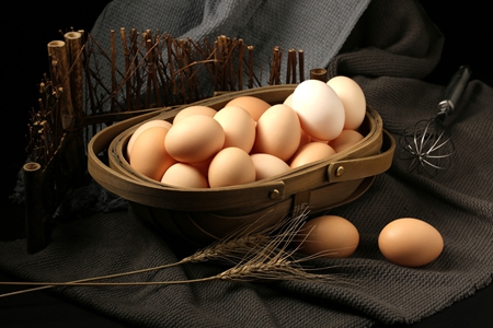 鸡蛋期货有所企稳 2405合约限仓降低至400手