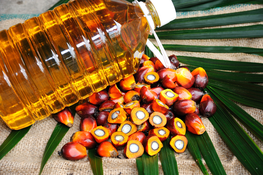马棕5月产量增幅超出市场预估 预计棕榈油偏震荡