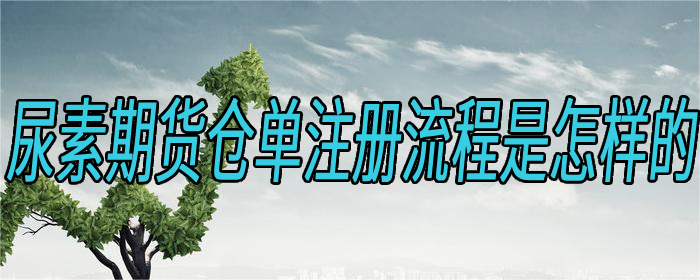 尿素期货仓单注册流程是怎样的