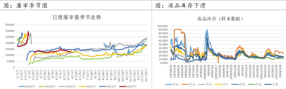 策略跟踪：单边做多LH2501策略报告-止损离场