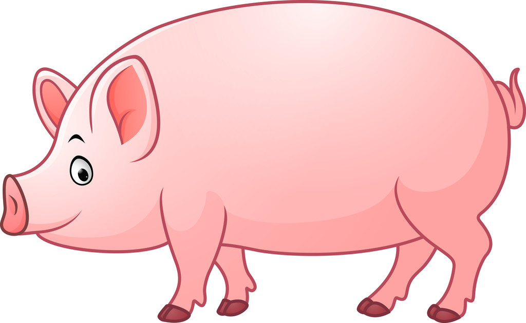 生猪主力窄幅波动 二次育肥有零星入场动作