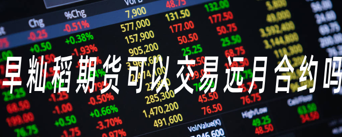 早籼稻期货可以交易远月合约吗