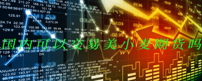 国内可以交易美小麦期货吗
